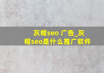 灰帽seo 广告_灰帽seo是什么推广软件